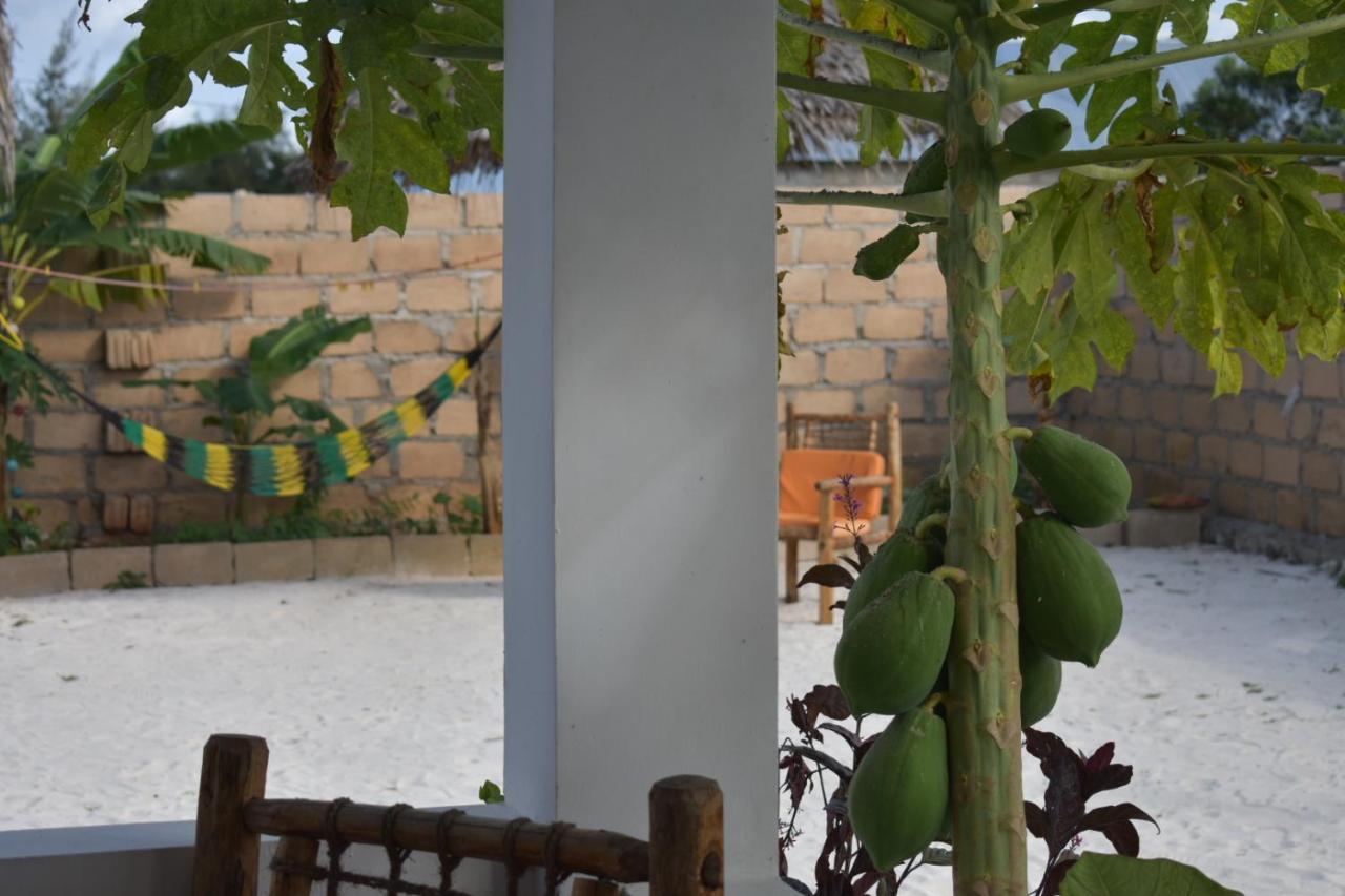 New Arisen Bungalows Bwejuu Exterior foto